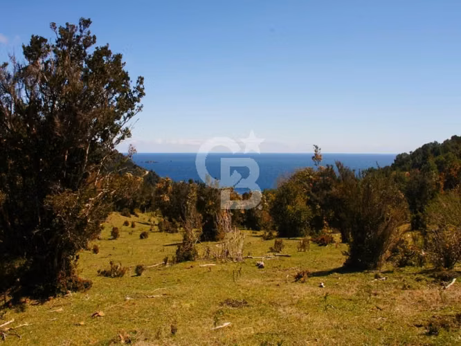 Bosques de San Carlos | Un refugio entre el bosque y el mar