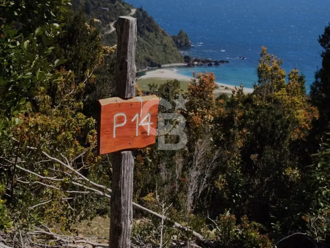 Bosques de San Carlos | Un refugio entre el bosque y el mar