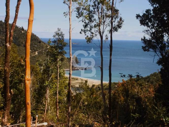 Bosques de San Carlos | Un refugio entre el bosque y el mar