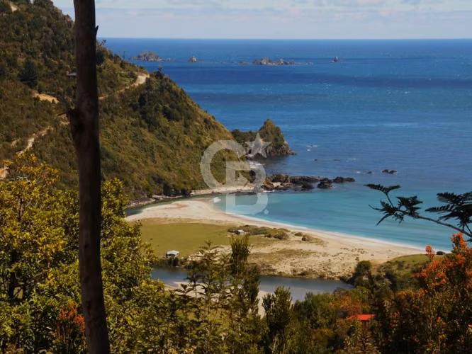 Bosques de San Carlos | Un refugio entre el bosque y el mar