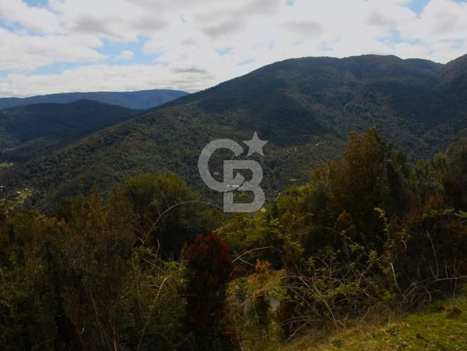 Bosques de San Carlos | Un refugio entre el bosque y el mar