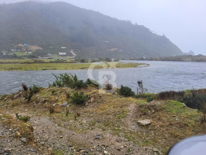 Bosques de San Carlos | Un refugio entre el bosque y el mar