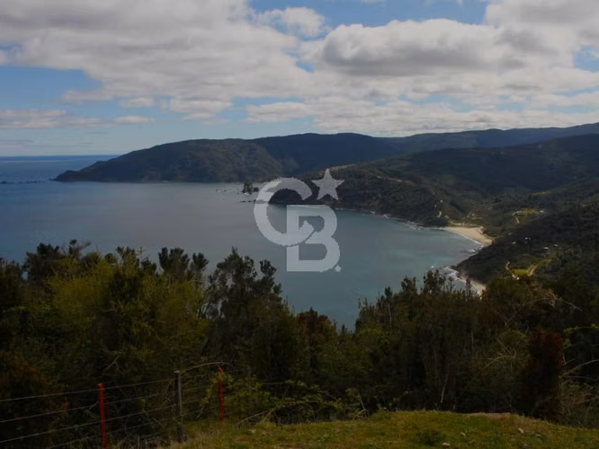 Bosques de San Carlos | Un refugio entre el bosque y el mar