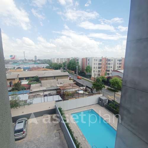 Paulina 8753 [3118-1]
