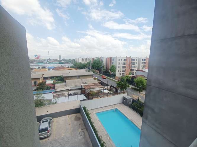 Paulina 8753 [3118-1]