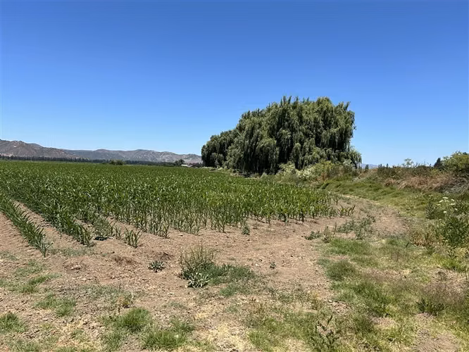 Parcela en venta en María Pinto