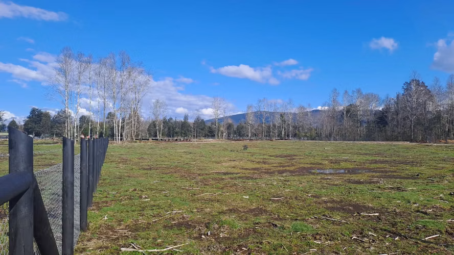 VENTA DE PARCELAS CERCA DE VILLARRICA - Imagen 9