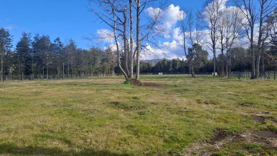 VENTA DE PARCELAS CERCA DE VILLARRICA - Imagen 15