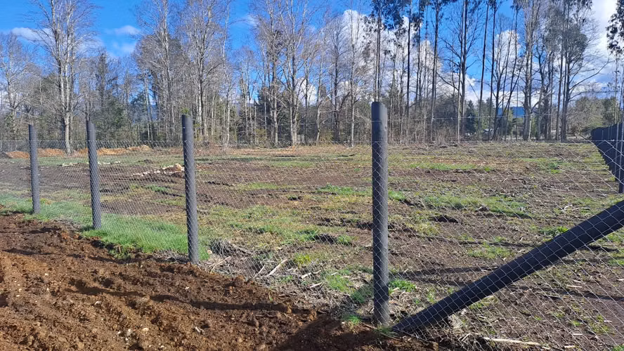 VENTA DE PARCELAS CERCA DE VILLARRICA - Imagen 10