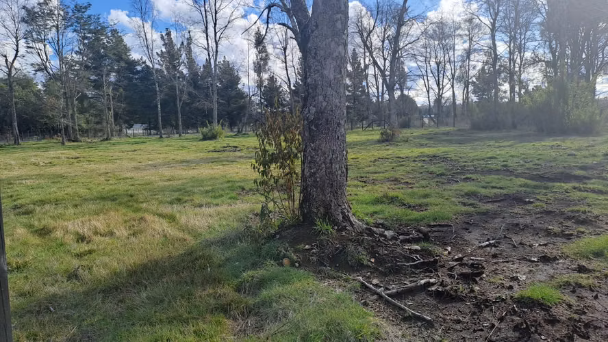 VENTA DE PARCELAS CERCA DE VILLARRICA - Imagen 17