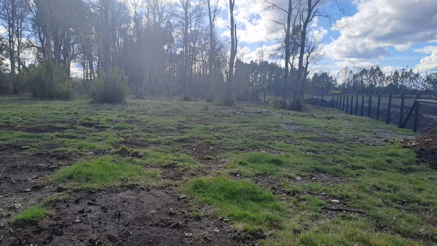 VENTA DE PARCELAS CERCA DE VILLARRICA - Imagen 16