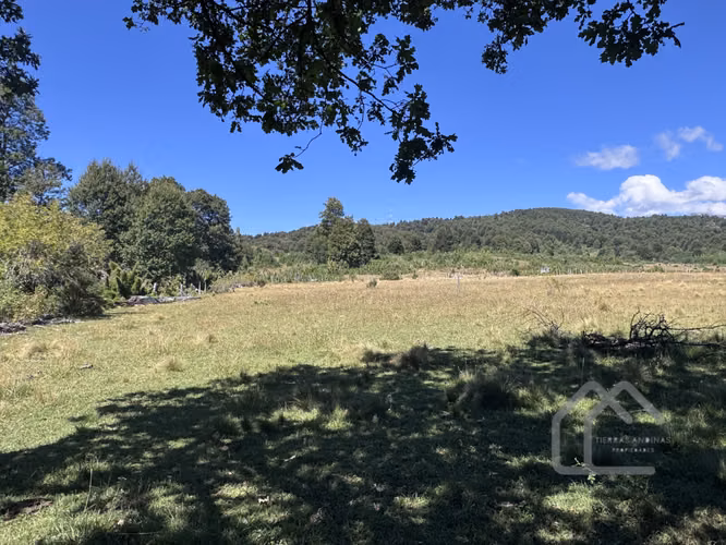 Hermosos terrenos 5.000 m2 sector salto de la Princesa - Imagen 4