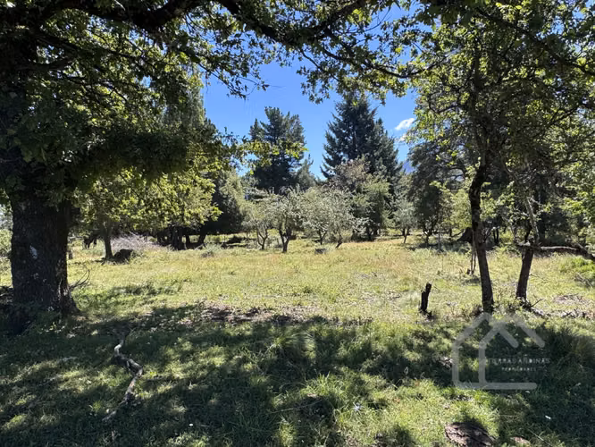 Hermosos terrenos 5.000 m2 sector salto de la Princesa - Imagen 3