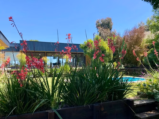 Moderna De Amplios Espacios Y Jardines Piscina Temperada - Imagen 13
