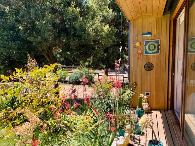 Moderna De Amplios Espacios Y Jardines Piscina Temperada - Imagen 3