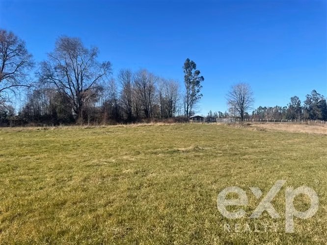 Sitio en venta en Pitrufquén 5000 m2 - Imagen 12