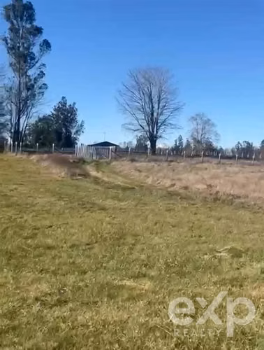 Parcela en venta en Pitrufquén 5000 m2 - Imagen 5