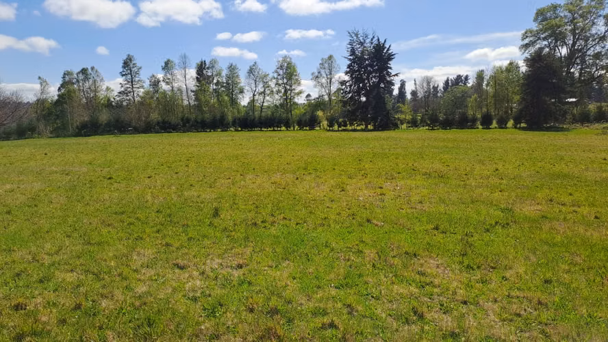venta de parcela 12 mil metros cuadrados - Imagen 4
