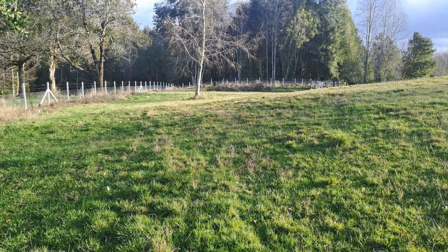 VENTA DE PARCELA SECTOR CASAHUE - Imagen 3
