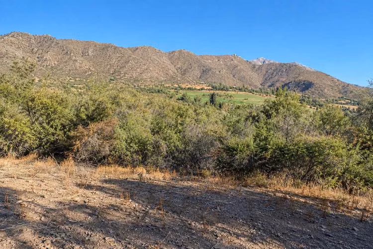 PARCELA DE 5.760 M² CON DERECHOS DE AGUA Y VISTA A LA CORDILLERA – SAN ESTEBAN
