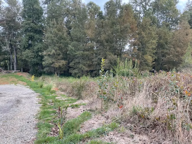 Hermosa parcela en sector El Rebellín, Valdivia - Imagen 2