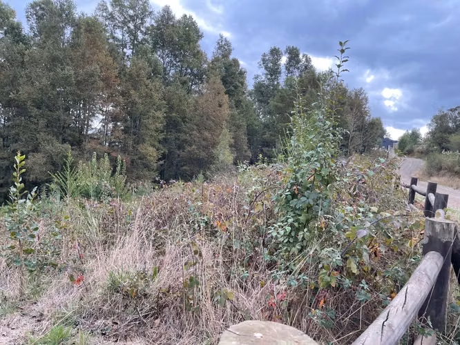 Hermosa parcela en sector El Rebellín, Valdivia - Imagen 3