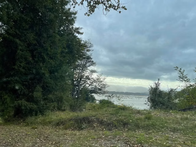 Hermosa parcela en sector El Rebellín, Valdivia
