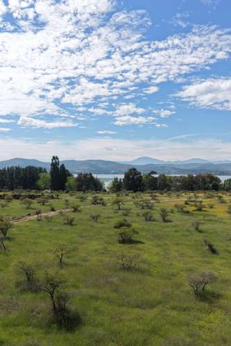 Alma Rapel, acceso al lago con marina y luz eléctr