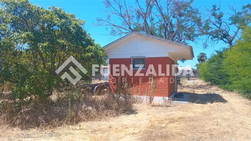 Agrícola en venta en Quillota - Imagen 3