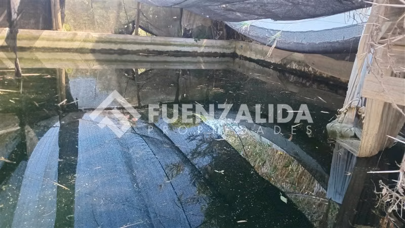 Agrícola en venta en Quillota - Imagen 5