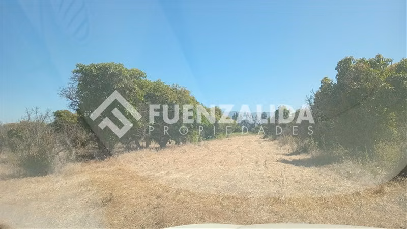 Agrícola en venta en Quillota - Imagen 4