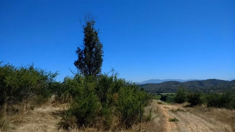 Parcela en venta en Villa Alemana - Imagen 13