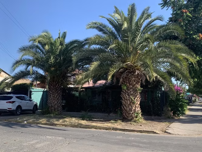 AVENIDA ILLANES / ALAMEDA - Imagen 2