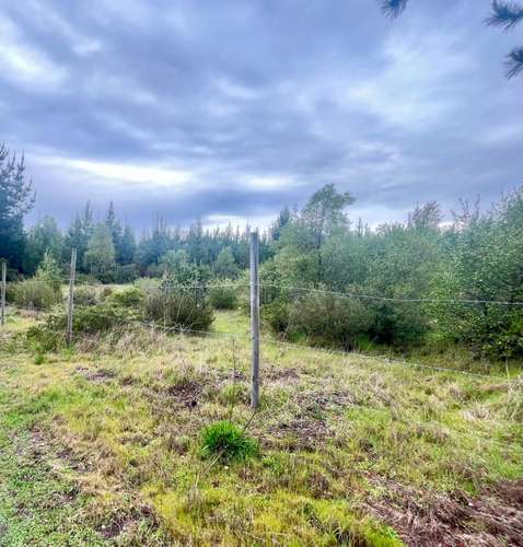 ¡GRAN OPORTUNIDAD! PARCELA DE 5000 M² EN SECTOR CI