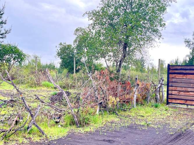 ¡GRAN OPORTUNIDAD! PARCELA DE 5000 M² EN SECTOR CI