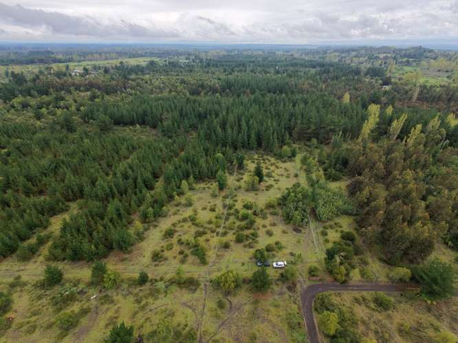 ¡GRAN OPORTUNIDAD! PARCELA DE 5000 M² EN SECTOR CI