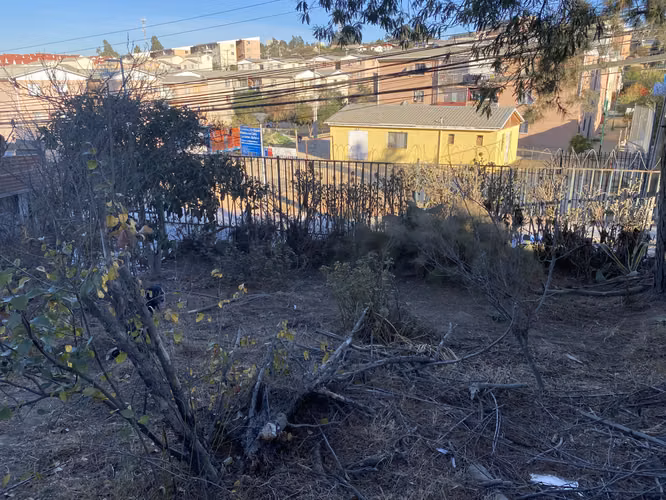 Propiedad 774 m2, Las Rosas - Imagen 2