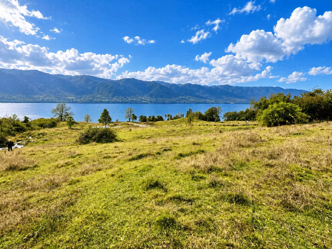 Parcelas en Venta – Loteo Quebrada Riñihue | Sector Flor del Lago - Imagen 15