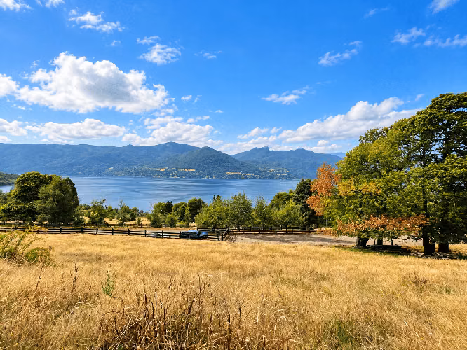 Parcelas en Venta – Loteo Quebrada Riñihue | Sector Flor del Lago - Imagen 3