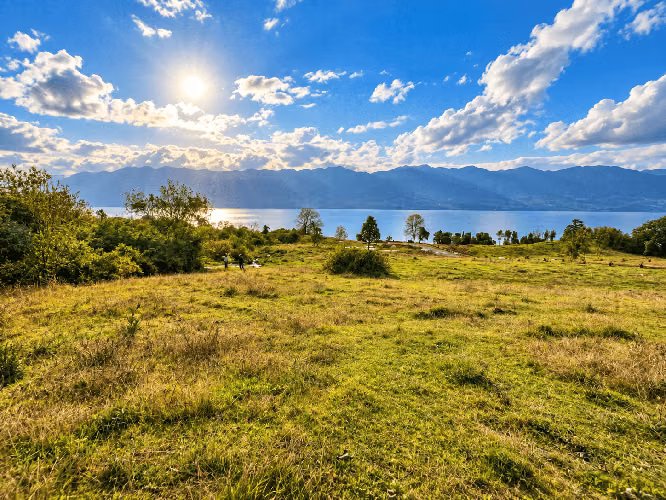 Parcelas en Venta – Loteo Quebrada Riñihue | Sector Flor del Lago - Imagen 13