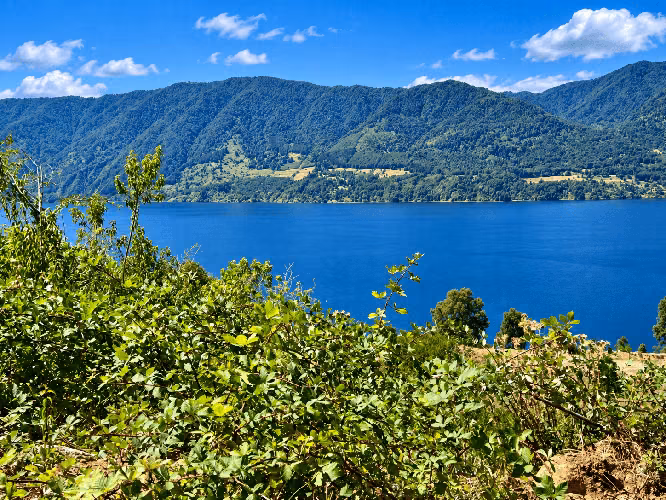 Parcelas en Venta – Loteo Quebrada Riñihue | Sector Flor del Lago - Imagen 9