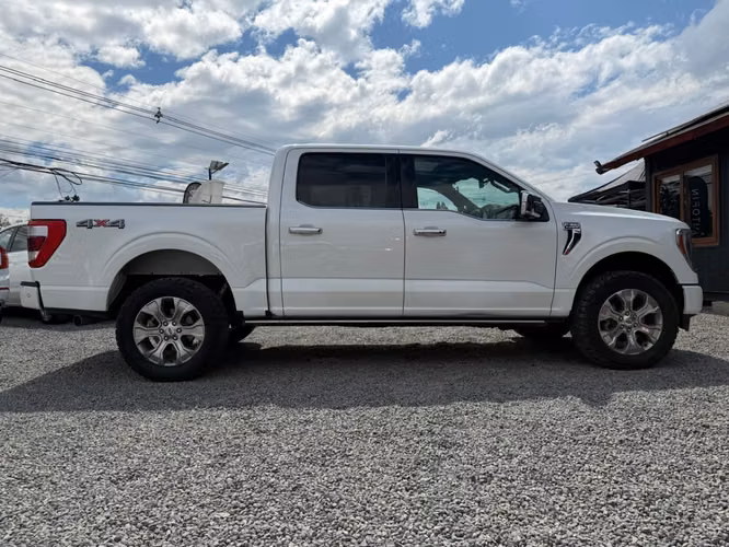FORD F-150 PLATINUM 3.5 4X4 AT  2023 - Imagen 5