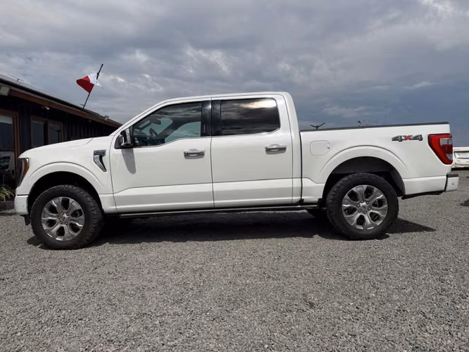 FORD F-150 PLATINUM 3.5 4X4 AT  2023 - Imagen 12