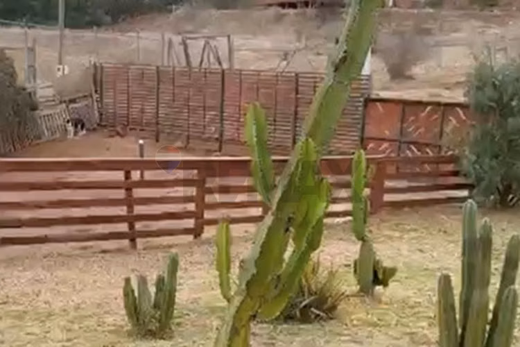 Parcela en arriendo fundo loreto la serena