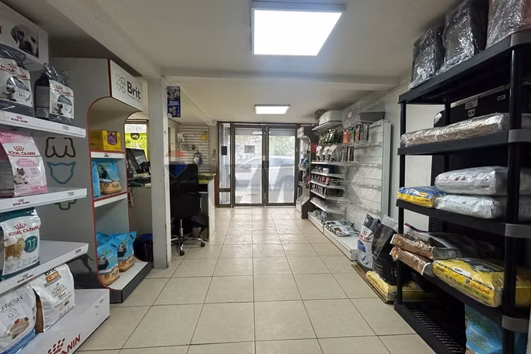 Gran local 287m²: ventas, bodegas y oficinas - Imagen 7