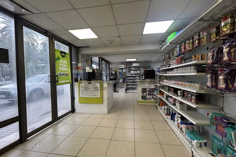 Gran local 287m²: ventas, bodegas y oficinas - Imagen 3