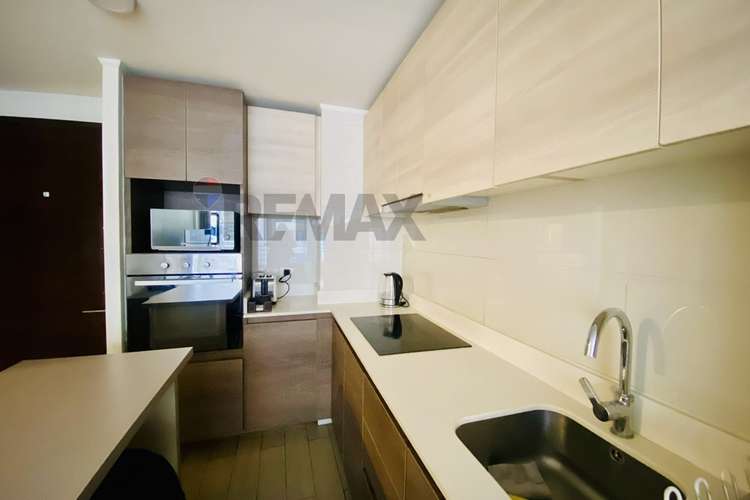 Hermoso y amplio depto 2d, 2b, e y b, santiago - Imagen 4
