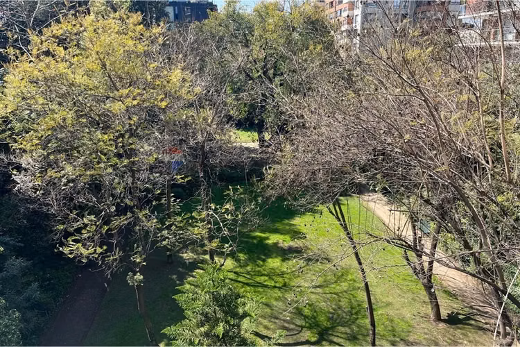 ¡ arquitectura premiada en providencia! - Imagen 29