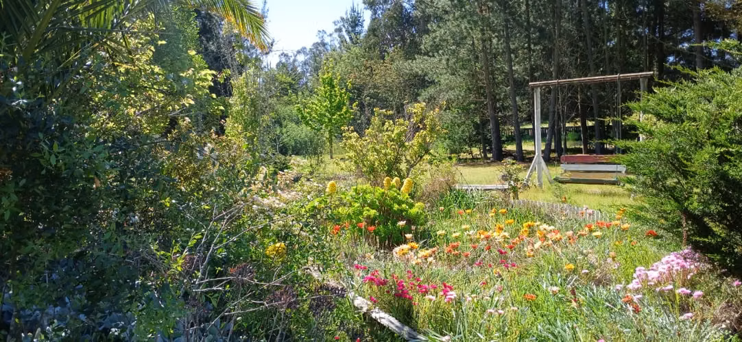 PARCELA AUTOSUSTENTABLE 5500 M2 188 M2 CONS ARBOLES Y PLANT - Imagen 16