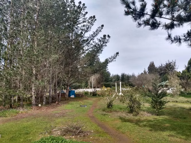 PARCELA AUTOSUSTENTABLE 5500 M2 188 M2 CONS ARBOLES Y PLANT - Imagen 25
